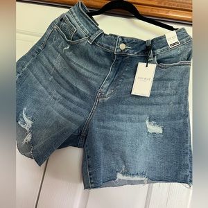 Judy Blue 1X distressed shorts